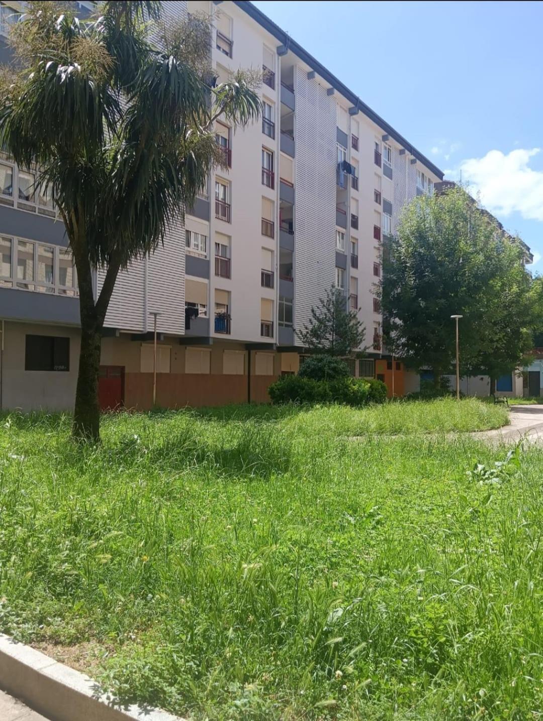 Apartamento Danae Centro スマイア エクステリア 写真